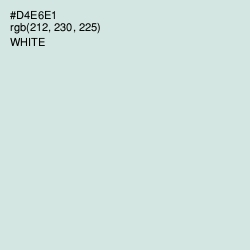 #D4E6E1 - Swans Down Color Image